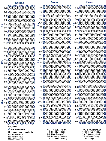 Distribución de los tratamientos en
bloques de tres especies Theobroma cacao “cacao”, Citrullus lanatus “sandia” y
Solanum sessiliflorum “cocona”.