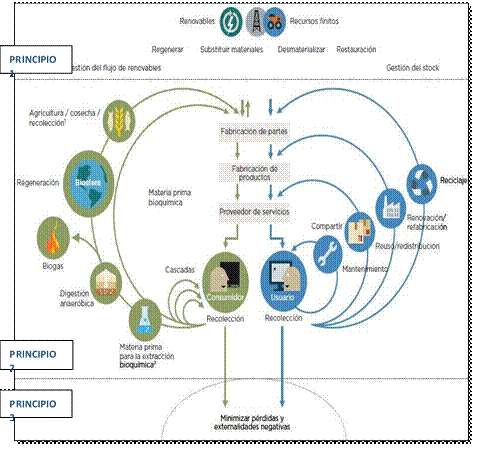 Esquema de una economía circular.
Adaptado de (MacArthur, hacia una economía circular:
motivos económicos para una transición acelerda, 2019) 



