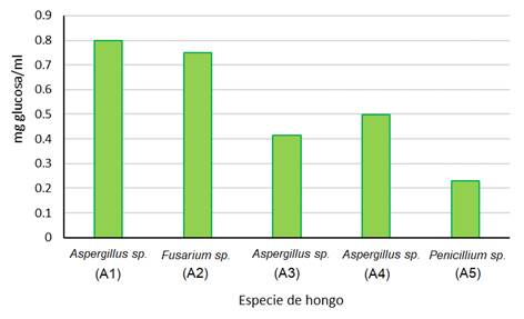 Liberación de azúcares reductores
(glucosa) de 4 cepas aisladas y mostradas en la Figura 2, luego de una
digestión por 3 semanas de hojas pulverizadas y secas.

 