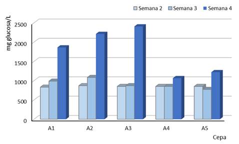 Liberación de azúcares reductores
(glucosa) de las cepas aisladas a diferentes tiempos de digestión. A1: Aspergillus sp., A2: Fusarium sp., A3: Aspergillus sp., A4:
Aspergillus sp., A5: Penicillium sp.

 