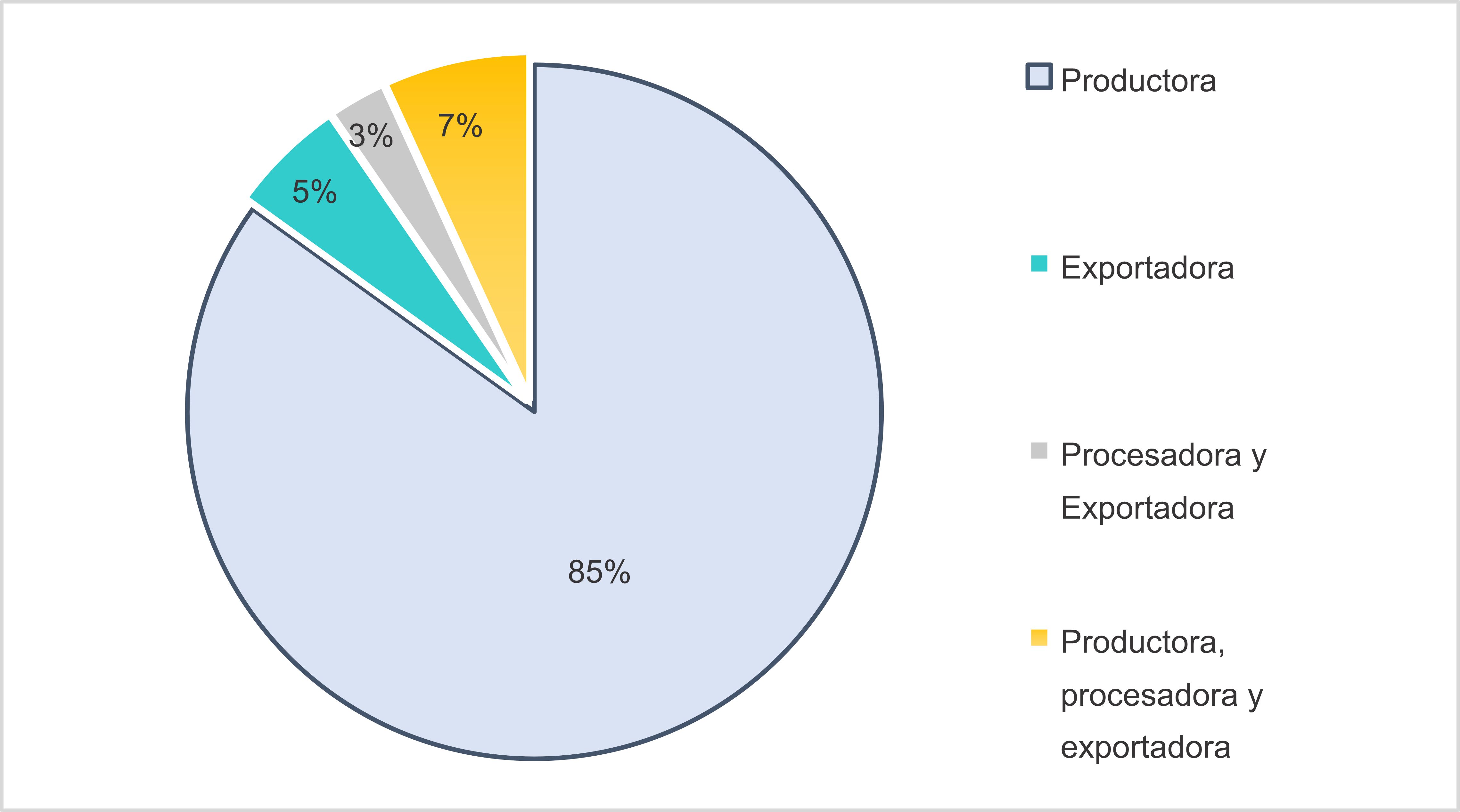 Actividad a la que
se dedican los participantes del sector agroexportador de la región Ica

 